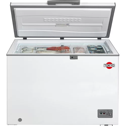 CONGELADOR TOKYO 290 LTS 1 PTA